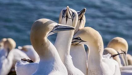 姜宇星：希望能尽快融入辽篮，新赛季会尽自己的所能帮助球队